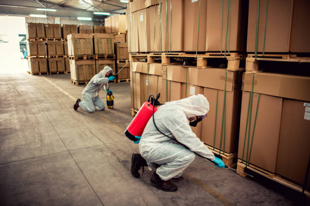Best Pest Prevention Services  in Breckenridge Hills, MO