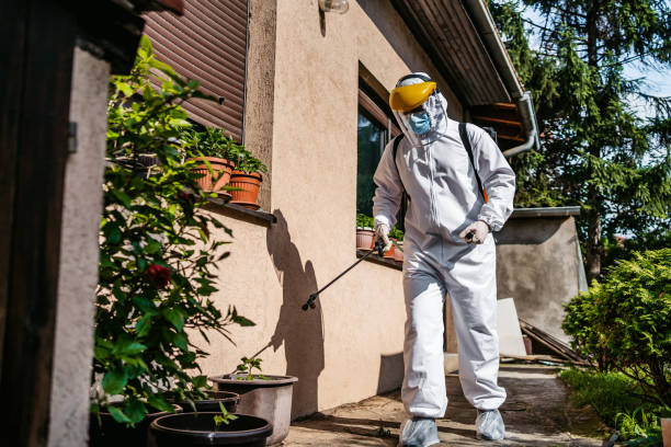 Best Affordable Pest Control Services  in Breckenridge Hills, MO