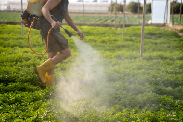 Reliable Breckenridge Hills, MO Pest Control Solutions