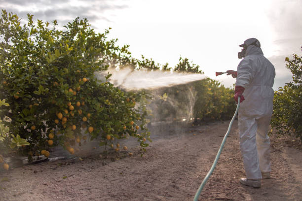 Best Commercial Pest Control Services  in Breckenridge Hills, MO