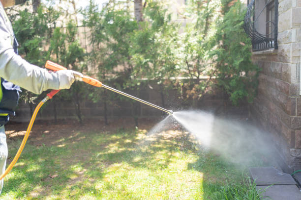 Best Rodent Control Near Me  in Breckenridge Hills, MO