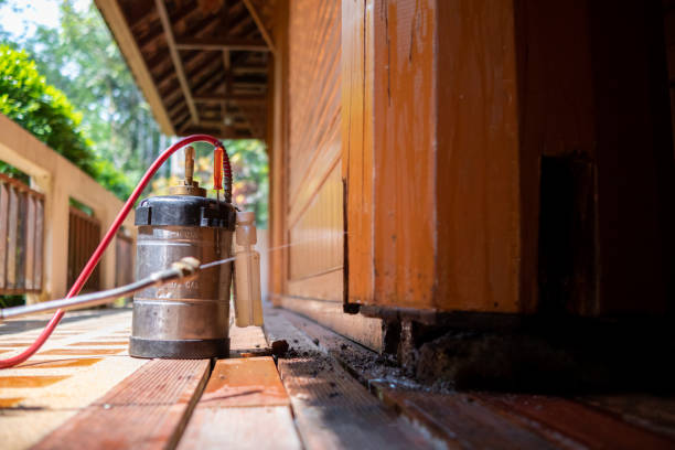 Best Pest Control Treatment  in Breckenridge Hills, MO
