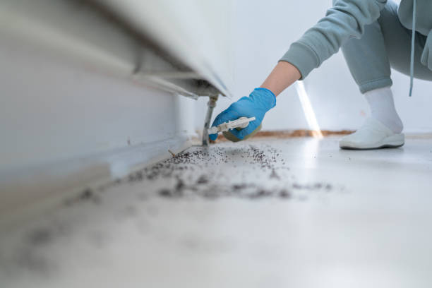 Best Wildlife Control Services  in Breckenridge Hills, MO
