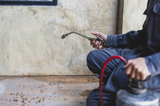 Best Best Pest Control Companies  in Breckenridge Hills, MO