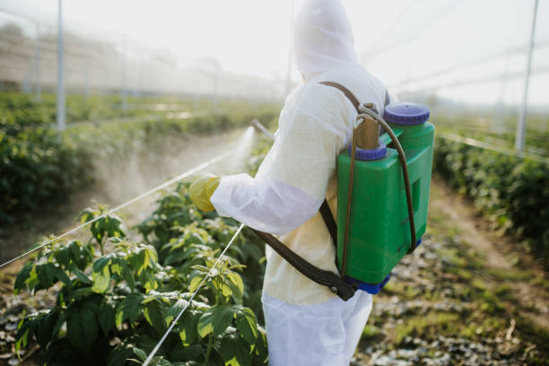  Breckenridge Hills, MO Pest Control Pros
